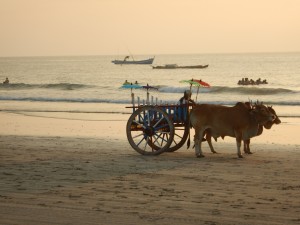Ngwe Saung-112